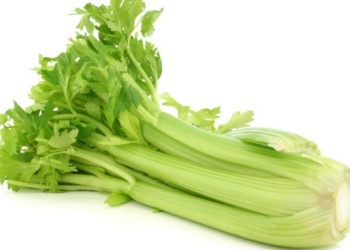 Celer – řapíkatý