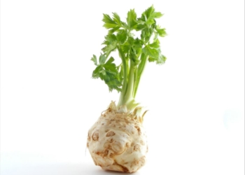 Výplňový obrázek Celer – malá bulva